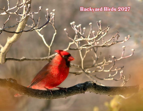 Backyard Birds 2027 Calendar, free mailing