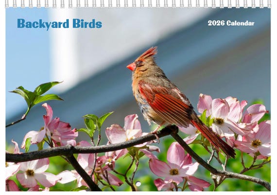 Backyard Birds 2026 Calendar, free mailing