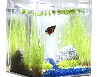 5 GALLON Self-cleaning Aquarium Rimless Cube - Etsy