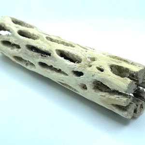 6” CHOLLA LOG | Aquarium Decor | Playground For Your Shrimp | Bennefits Water Quality