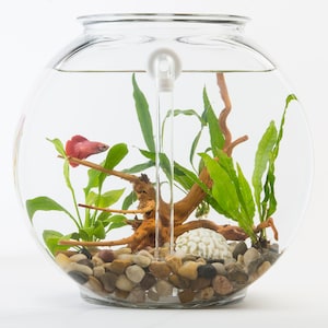 DIY-zelfreinigende ombouwset voor ankerhaken, vissenkom van 2 gallon. Kom NIET inbegrepen