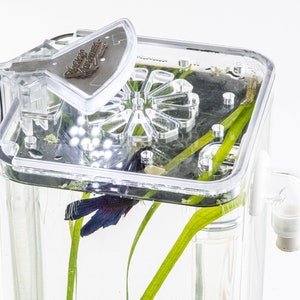 Puede incluir: Un acuario de plástico transparente con un pez betta negro nadando dentro. El acuario tiene una tapa transparente con un pequeño filtro de plástico transparente en el lateral. El acuario también tiene una pequeña luz de plástico transparente en la parte superior.