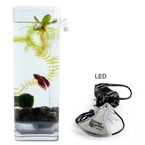 Self-Cleaning Betta Fish Aquariums with LED + River Stones + Food