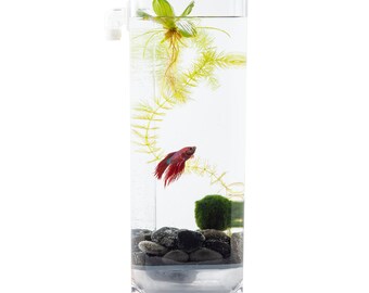 Self-Cleaning Betta Fish Aquarium with Adjustable Heater + River Stones + Food + Free US Shipping