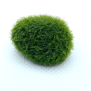 1 Artificail Marimo Moss Ball | Weighted | Aquarium Decoration