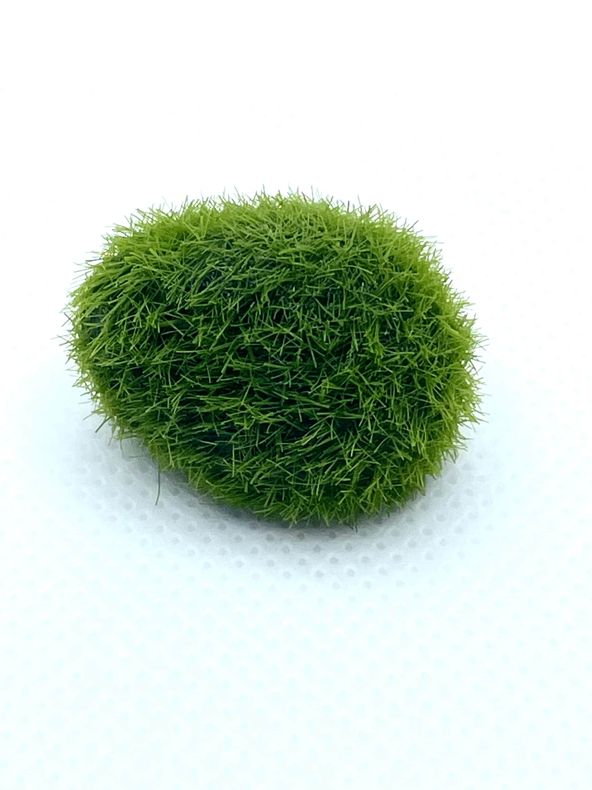 4pcs Aquarium Moss Balls,Live Aquarium Green Moss Decorative Ball for Fish Tank Ornaments Freshwater Terrarium Moss Decoration, Size: 4 cm