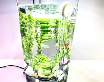 Self-Cleaning Betta Fish Aquariums with LED + River Stones + Food