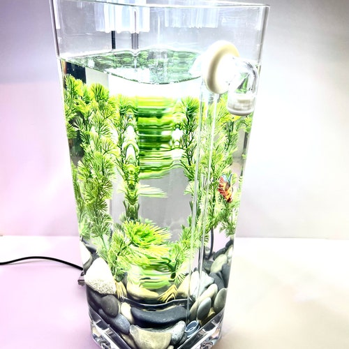 WiFi- Self-Cleaning Betta Fish Aquariums with LED + River Stones + Food + Smart Wifi Plug for LED