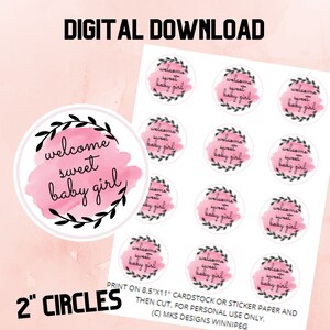 Party Favour Tags, Baby Shower Stickers, Printable Cupcake Toppers, Baby Girl Shower Decorations, Baby Shower Tags for Favours