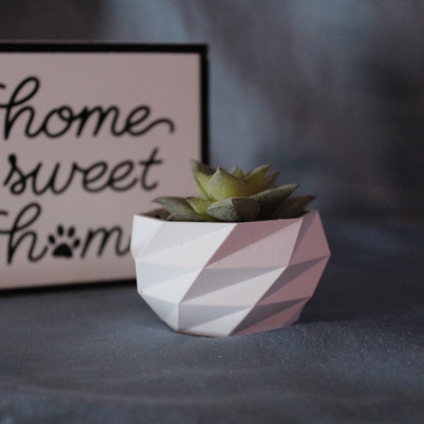 Low Poly Succulent Planter