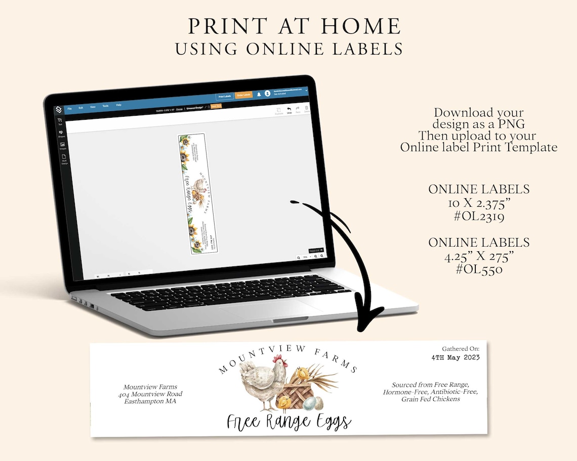 EGG CARTON Label Template Free Range Egg Carton Label Etsy