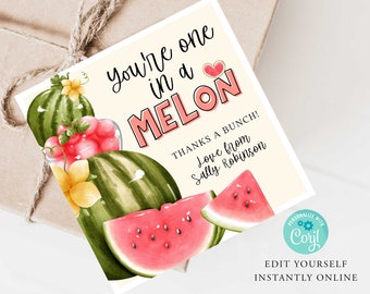 Może przedstawiać: Kwadratowa karta z motywem arbuza. Karta zawiera tekst "You're one in a MELON" z ilustracją plastra arbuza. Dodatkowy tekst brzmi "Thanks a bunch! Love from Sally Robinson."