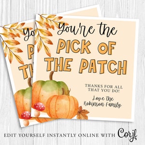 May include: A printable thank you card with a fall theme. The card features a watercolor illustration of pumpkins, leaves, and mushrooms. The text on the card reads "You're the Pick of the Patch" and "Thanks for all that you do! Love the Robinson Family".