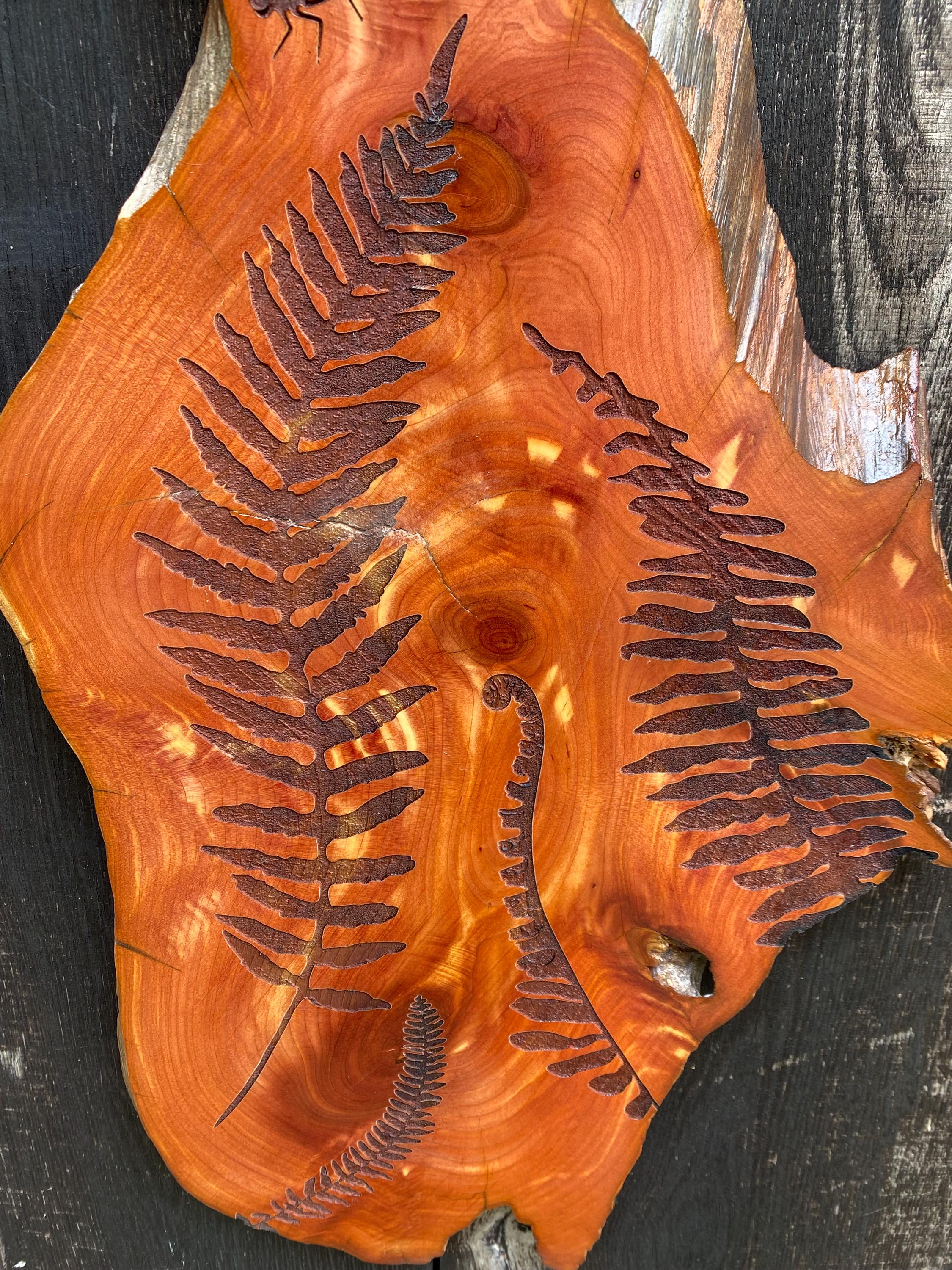 Laser engraved Ferns and Dragonfly | Nature | Botanical | Cabin Decor | Woodland Decor
