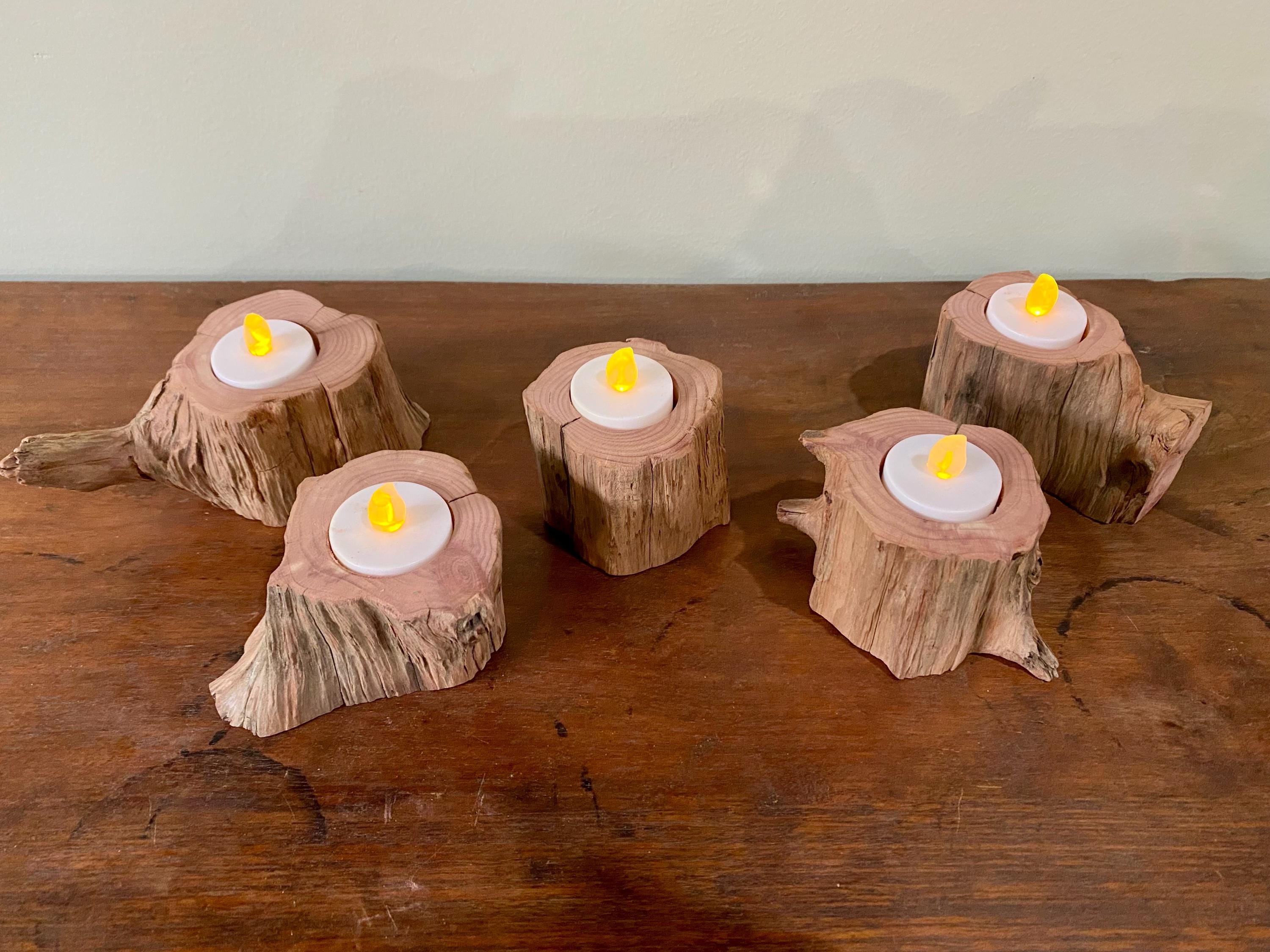 Air plant or tea light holder