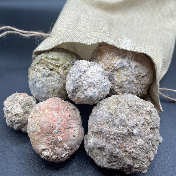 Thunder Egg Geode Etsy