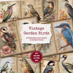 Könnte beinhalten: Eine Sammlung von druckbaren Seiten im Vintage-Stil mit Aquarellillustrationen verschiedener GartenVögel. Die Seiten haben ein gealtertes Aussehen mit floralen und Noten-Hintergründen. Der Text lautet "Vintage Garden Birds".