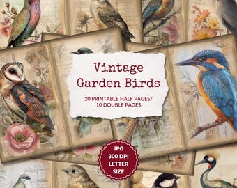 Paper & Bird Collage, Bird Garden Junk Journal Pages, Vintage Bird Ephemera, Scrapbook printable, Printable Paper, Digital Collage