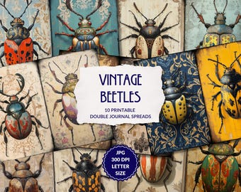 Vintage Beetle – vintage insects journal pages, art deco beetles, colourful bugs ephemera, encyclopedia pages, entomology, instant download