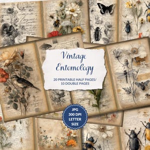Könnte beinhalten: Eine Collage von Vintage-Seiten zum Thema Entomologie. Die Seiten zeigen Illustrationen von Insekten, Blumen und handschriftlichem Text. Der zentrale Text lautet "Vintage Entomology" und "20 druckbare halbe Seiten/10 Doppelseiten". Ein blaues Abzeichen zeigt JPG, 300 DPI, Letter-Größe an.