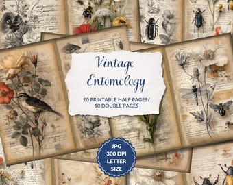 Vintage Entomology Notes, Junk Journal Pages, Field Notes Ephemera, Grunge Collage Scrapbook printable, Printable Paper, Digital Collage