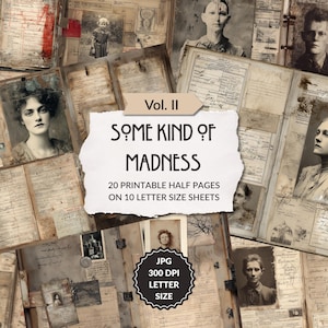 May include: A collage of vintage-style pages with portraits and handwritten notes. The central text reads "SOME KIND OF MADNESS," with "Vol. II" above. Includes "20 Printable Half Pages on 10 Letter Size Sheets."