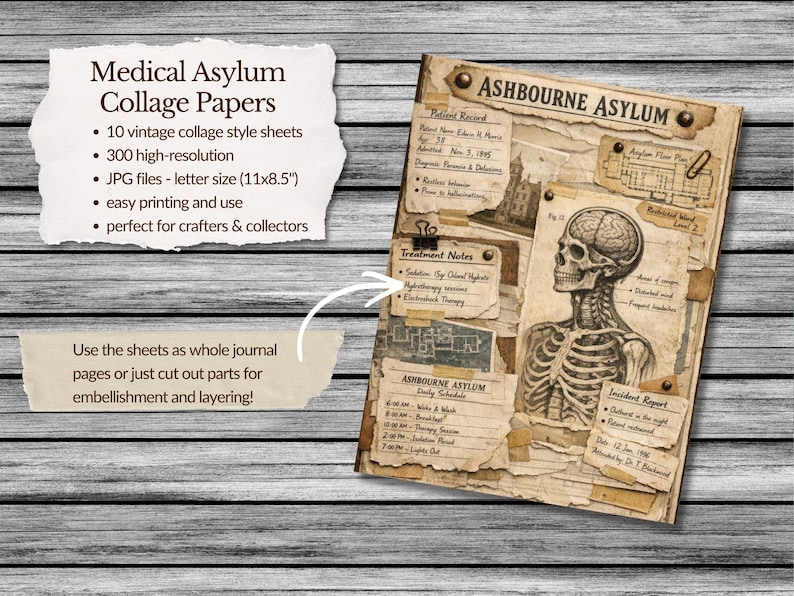 Ashbourne Asylum Collage Papers, Anatomy Files, Patient Records, Dark ...