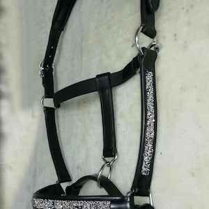 Glitter Rock Leather Halter: Padded English Horse Headcollar