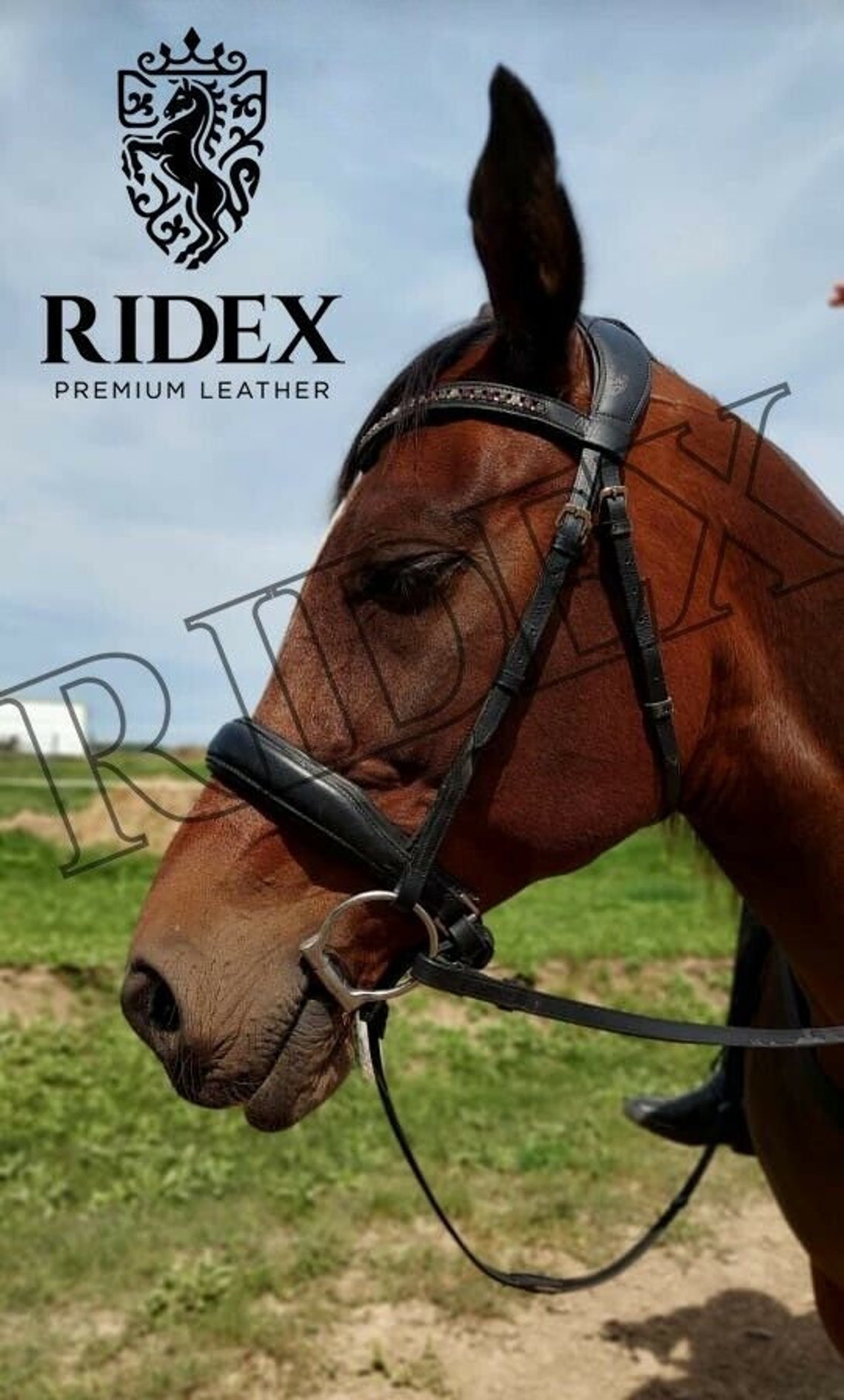 Anatomic Crank Cavesson Dressage Bridle With Crystals Browband Etsy