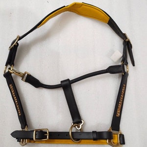 Puede incluir: Un cabezal de caballo de cuero negro con una bozal de cuero amarillo y herrajes dorados. El cabezal tiene una fila decorativa de tachuelas doradas a cada lado.
