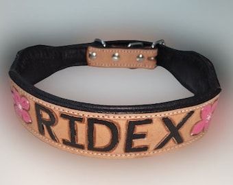 Personalized Collar With Name//  Leather Collar // Personalised Leather Dog Collar // High Quality Dog Collar // Personalized Collar