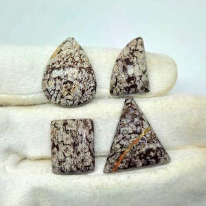 Natural Wild Horse Jasper Cabochon Loose Gemstone 4 Pieces Mix Lot For Jewelry Making Craft Supplies