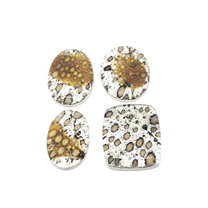 Könnte beinhalten: Vier Cabochons in verschiedenen Formen: zwei ovale, einer unregelmäßiger und ein quadratischer. Jeder hat ein gesprenkeltes Muster aus braunen und beigen Punkten auf weißem Hintergrund, mit einem silberfarbenen Rand. Die Cabochons sind vor einem weißen Hintergrund platziert.