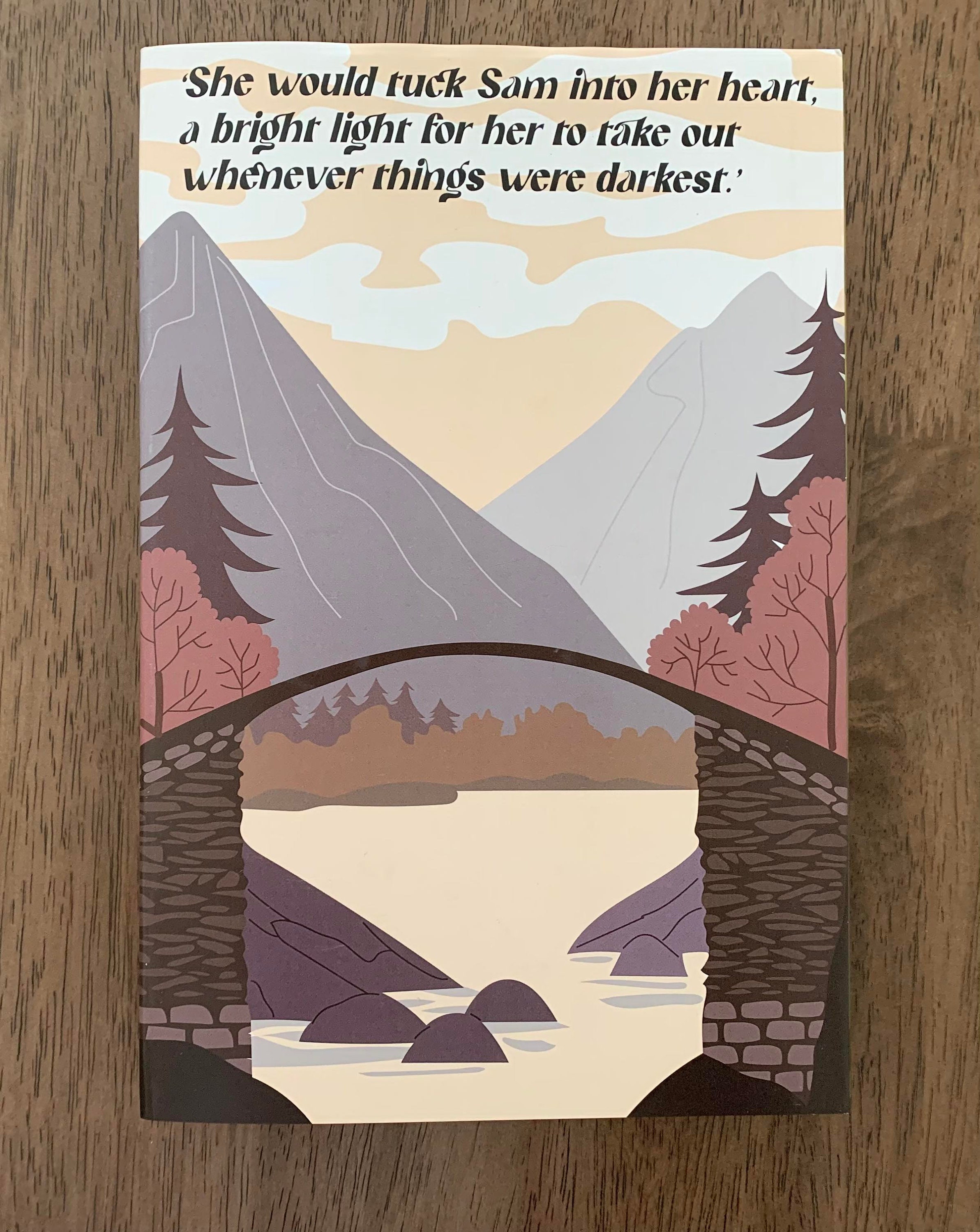 Throne of Glass Dust Jackets Etsy Canada