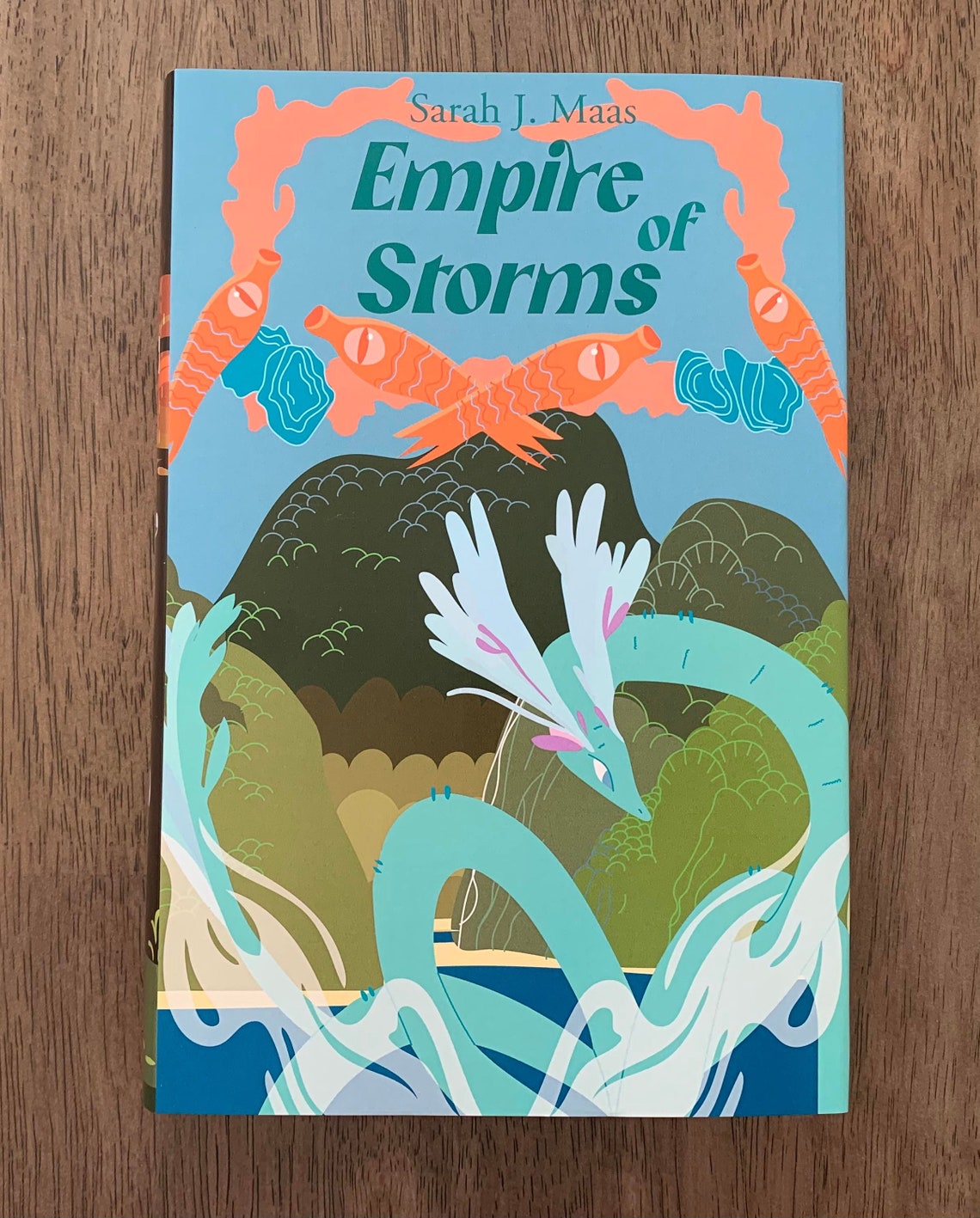 Throne Of Glass Dust Jackets Etsy Canada