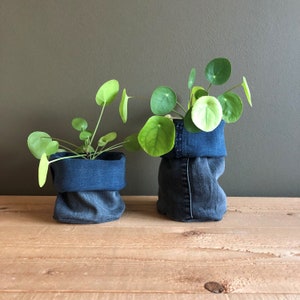 Op de afbeelding: Twee planten in potten van denim stof. De planten hebben ronde, groene bladeren. De potten zijn donkerblauw.