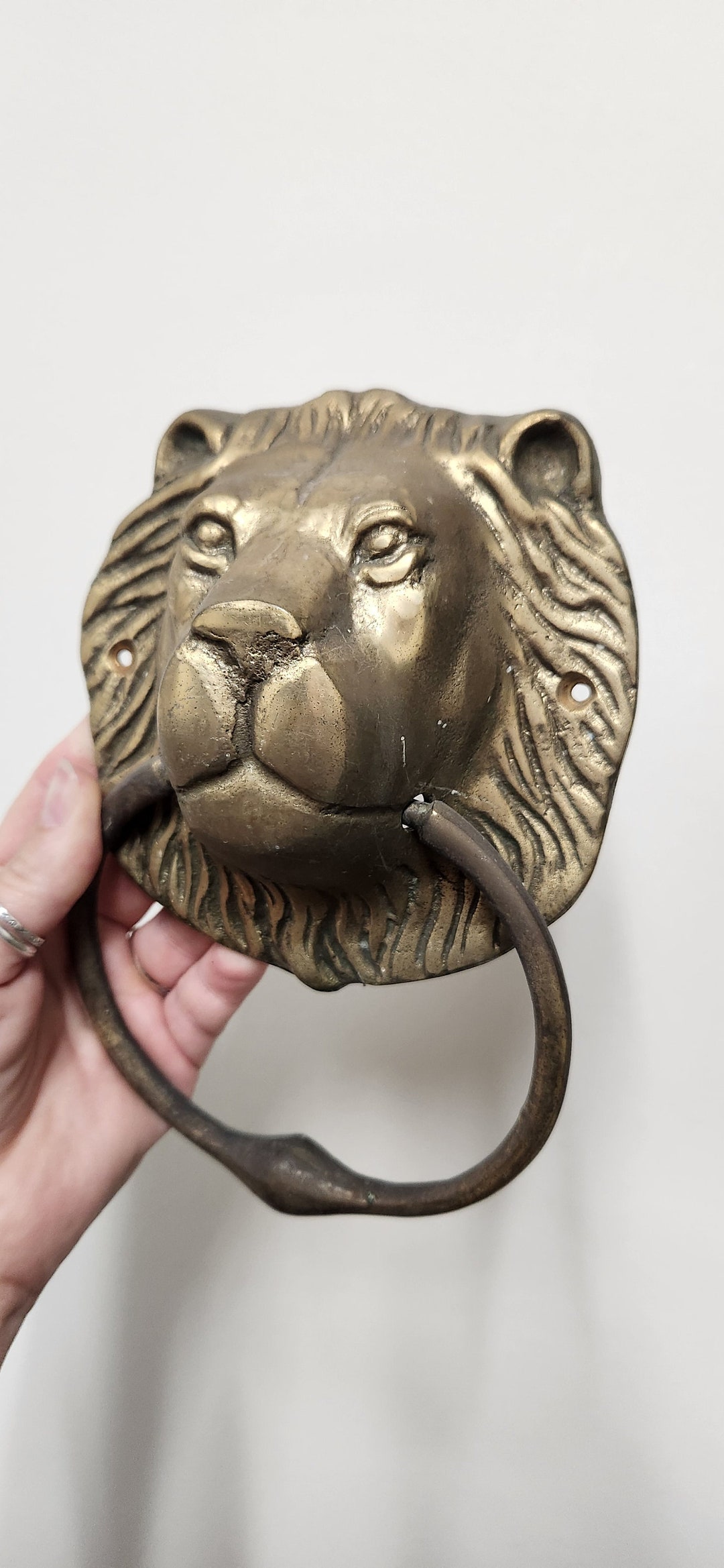 Lion Cast Iron Door Knocker & Strike Plate