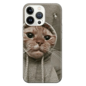 May include: A close-up of a ginger cat wearing a gray hoodie. The cat is looking directly at the camera with a serious expression.