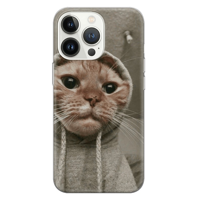 May include: A close-up of a ginger cat wearing a gray hoodie. The cat is looking directly at the camera with a serious expression.