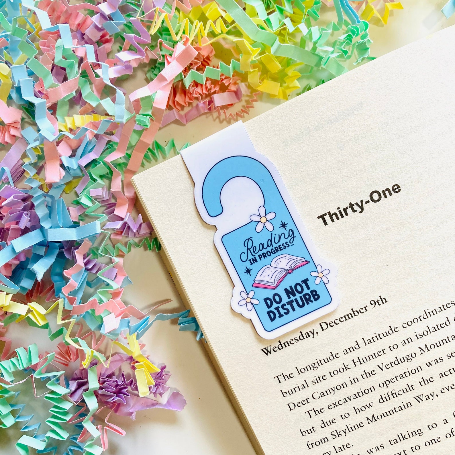 Reading in Progress Do Not Disturb Bookish Magnetic Bookmark, Book ...