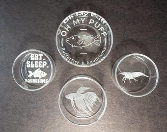 Custom Engraved dish Aquarium Feeding Dish for Fish & Shrimp.