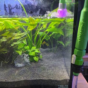 May include: A rectangular aquarium with lush green aquatic plants and dark substrate. A green siphon hose is attached, and the text "With Diffuser" is visible. The aquarium is set on a wooden cabinet.