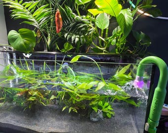 Python Water Change Hook Water Diffuser: Aquarium Safe
