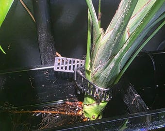 Adjustable Aquarium Plant Holder | Rimless & Rimmed Tanks | Aquarium-Safe Materials