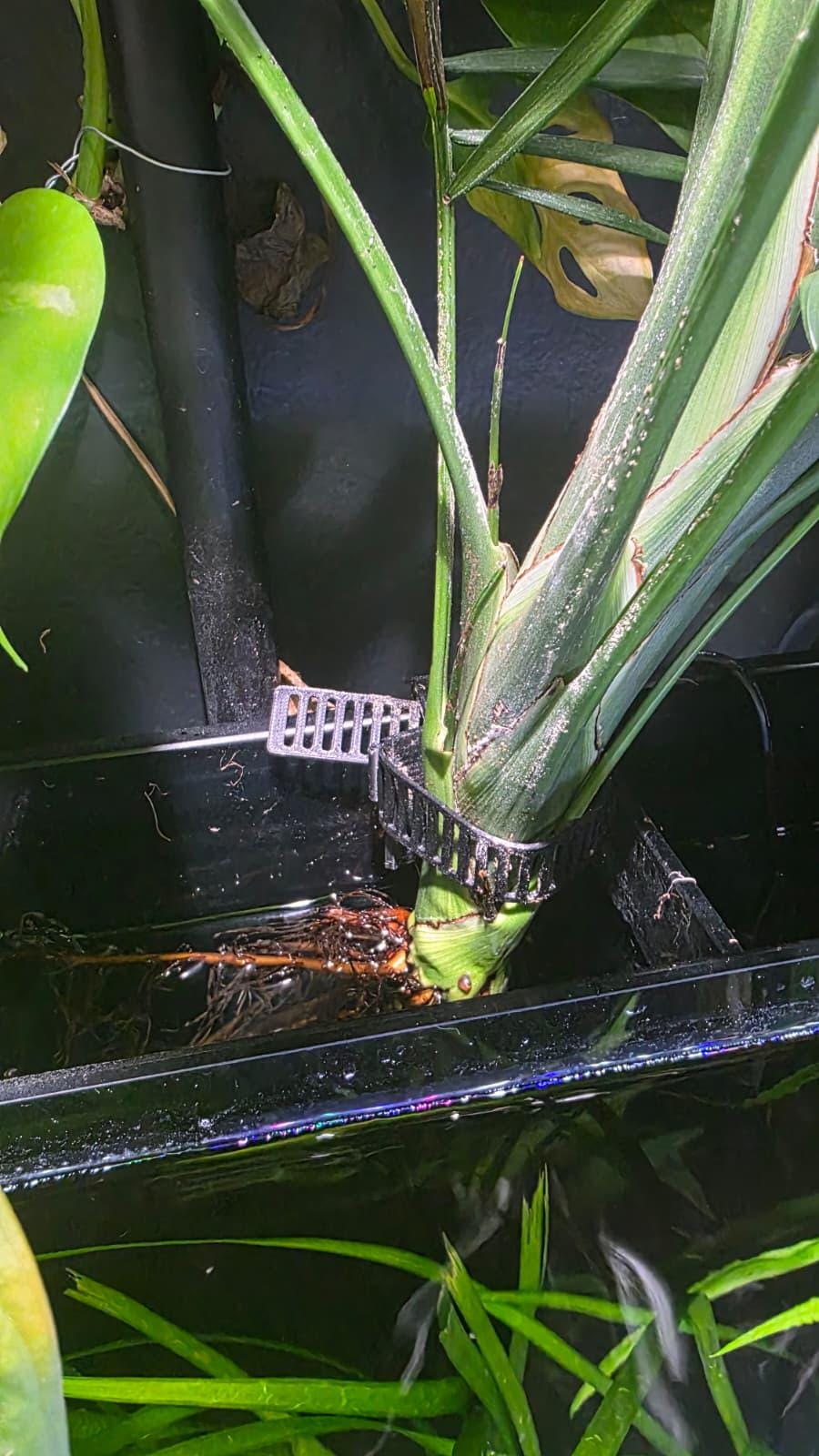 Aquarium plant planters - Etsy sterreich