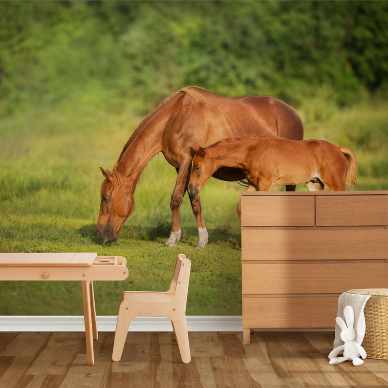 Horses in the Farm Wallpaper Mural, Premium Peel and Stick Material