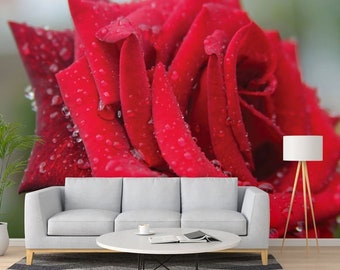 Rose with Rain Droplets Wallpaper Mural, Premium Peel and Stick Material, Wall Decoration For Livingroom, Bedrooms and Offices, Red Green