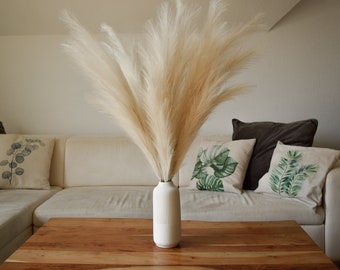 Herbe de pampa 100 cm Herbe de pampa artificielle élégante dans un décor beige pur pour l'intérieur, 18 fleurs artificielles en plumes moelleuses 3 pièces.