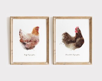 Chicken Watercolor Art - Set of 2 Hen Prints - Farmhouse Kitchen Wall Art