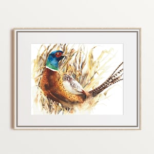 Pheasant watercolor art, game bird fine print , Father&#39;s day gift, bird illustration, unframed print